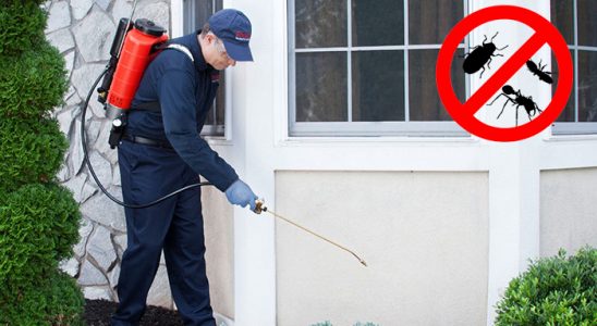 Ortahisar Bit İlaçlama böcek ilaçlama ve haşere kontrolü — ilaclama-tr.com